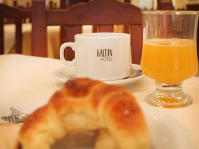 Hotel Kalton 3*